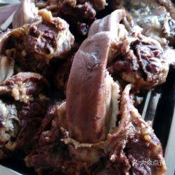 猪吃田瓜图片,田园生活画卷展