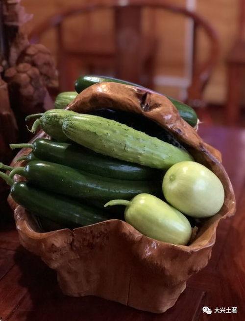 汾阳最新瓜吃瓜视频,最新瓜吃瓜视频大揭秘