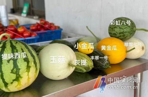 左各庄吃瓜新闻,揭秘背后真相与热议焦点