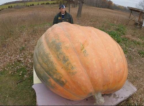 到达吃瓜现场,一场全民狂欢的盛宴