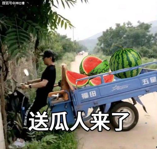 吃瓜文案关于闰土,瓜田里的传奇人物