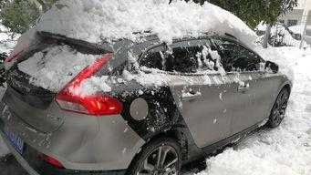 下雪车吃瓜撞车,车吃瓜意外撞车，一场意外的欢乐之旅