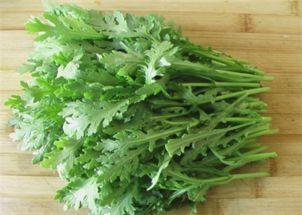 吃蒿瓜的坏处,揭秘食用不当的五大风险