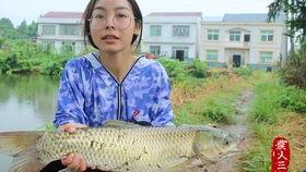 吃瓜网站草鱼,带你领略网络舆论的狂欢盛宴