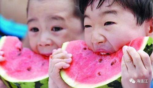 又到吃瓜季,又到全民“吃瓜”狂欢季