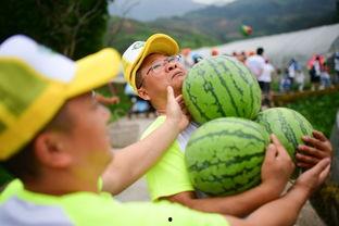 吃瓜好嗨,揭秘娱乐圈的欢乐与八卦