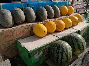 山下吃瓜,揭秘娱乐圈背后的秘密与真相