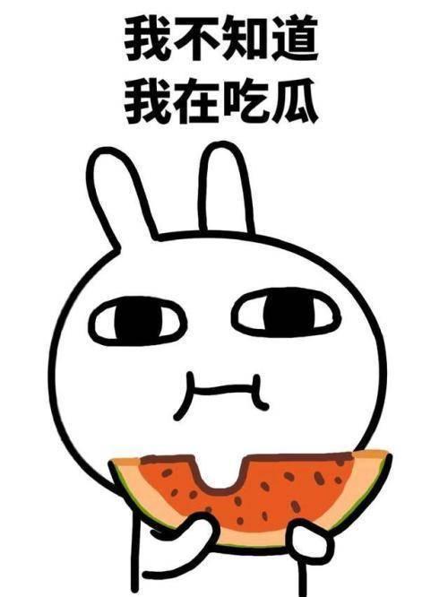 吃瓜大人,揭秘吃瓜大生的趣味生活与独特见解