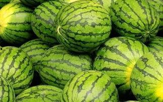 大营吃瓜大赛,一场舌尖上的狂欢盛宴