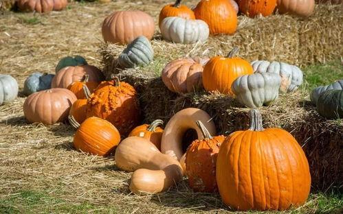 广铁吃瓜,揭秘铁路行业背后的那些事儿