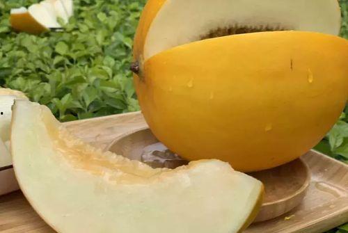 吃蜜瓜得功效,健康生活新选择