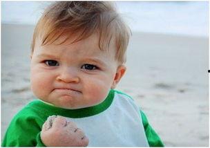 吃瓜白山,一场别开生面的乡村盛宴