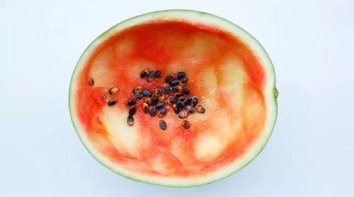 吃瓜用大勺子怎么吃的,畅享夏日清凉新体验