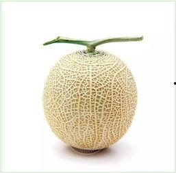 真人吃瓜群众头像,揭秘网络红人的真实生活