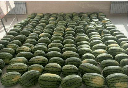 昆明吃瓜新闻,揭秘网络热议背后的真相与反思