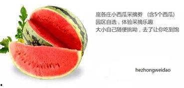 亚洲吃瓜中心,揭秘美食与文化的交汇之地