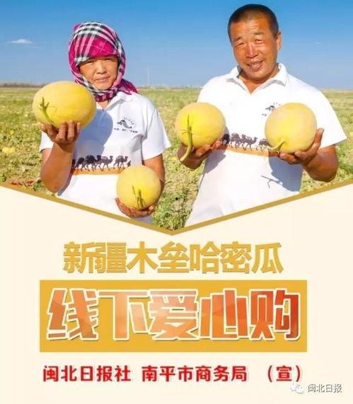 爱心吃瓜解说全集最新,揭秘娱乐圈幕后真相，笑料百出