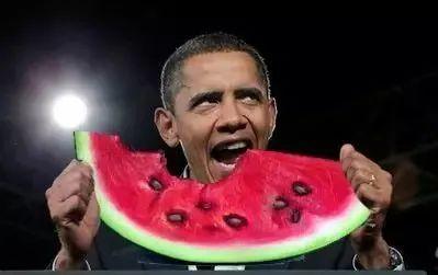 赵一博吃瓜姿势,娱乐圈新潮流