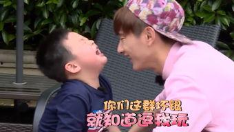 吃瓜看戏的视频,短视频背后的娱乐现象解析