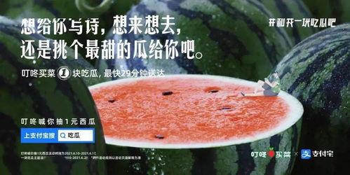 图片文案吃瓜,一场视觉与味蕾的双重盛宴